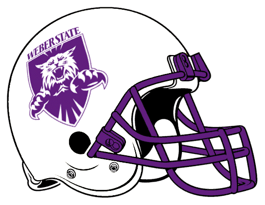 Weber State Wildcats 2001-2005 Helmet Logo iron on transfers for fabric